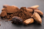 Цельные протертые бобы какао (Африка) Cacao sativa, 100 г